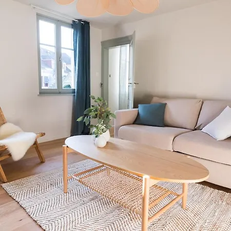 Ferienwohnung Le Cocon De Jules Colmar Exterior foto